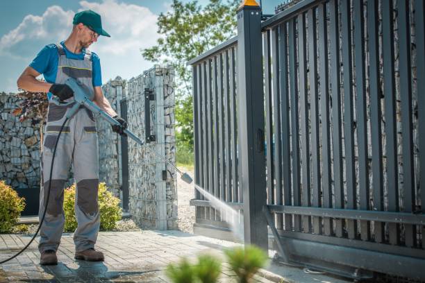 Best Gutter Cleaning  in Geneva, IL